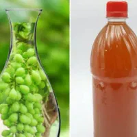آبغوره تازه و طبیعی