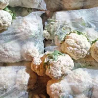 همکار شیفت شب برا میوه فروش