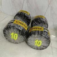 دمبل + هالتر