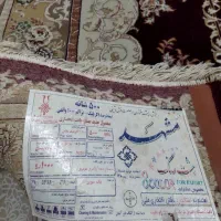 فرش مشهد|فرش|یاسوج, |دیوار