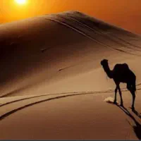 کویر گناوه آبگرم محلات درآبانماه|تور و چارتر|اصفهان, وحید|دیوار