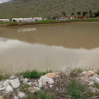 استخدام راننده سرویس