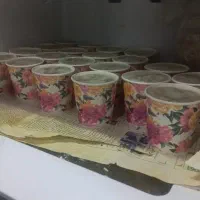 آب قلم گاو و شتر