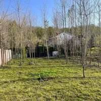 فروش زمین در کچا