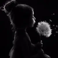 آموزش عکاسی،آموزش نرم افزار فتوشاپ