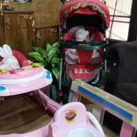 کالسکه و روروک