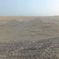کاه دیمه