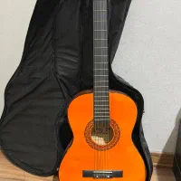 گیتار ویولت