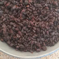 ۸ کلیو مویز کیلو۱۹۰ هزار