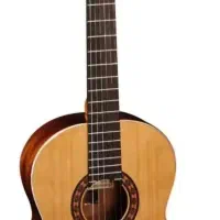 گیتار آلمانزا 401