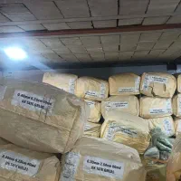 تورماهیگیری شکاری|ماهیگیری|کرج, نوروزآباد|دیوار