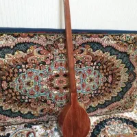 سالم فقط فاقدتار