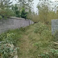 سه قطعه زمین باغی داخل طرح در رودبنه|فروش زمین و ملک کلنگی|لاهیجان, لیل|دیوار