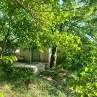 باغچه در ولیان کردان دور دیوار