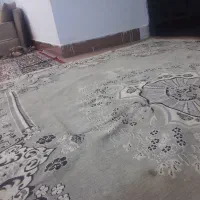 ظایعات کارتن روزنامه باطله  درب منزل شماخریدارم