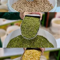 فروش حبوبات درجه یک به قیمت عمده
