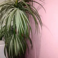 گلدان نخل مصنوعی