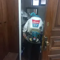 سمپاشی سم پاشی .ساس. سوسک وحشرات موزی