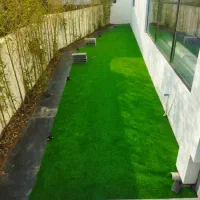 دونیای گرینوال دونیای چمن|گل مصنوعی|قائم‌شهر, |دیوار