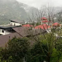 هم فکری  جهت گذراندن اوقات فراغت