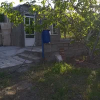 فروش-یک-قطعه-باغ