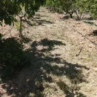 علف زنی با دستگاه