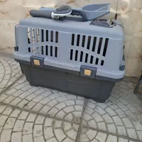 باکس گربه