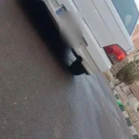 132 مدل 90،|خودرو سواری و وانت|مشهد, کوی پلیس|دیوار