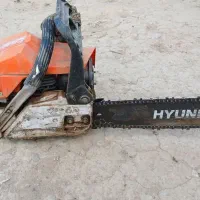 خرید چوب با بالاترین قیمت|خدمات باغبانی و درختکاری|قیدار, |دیوار