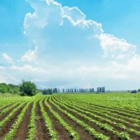 زمین-کشاوزی-تمام-قطره-ای-و-بارانی