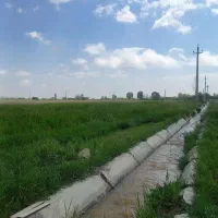 فروش یامعاوضه باغ انگورو زمین کشاورزی درصالح آباد|فروش دفتر صنعتی، کشاورزی، تجاری|صالح آباد, |دیوار