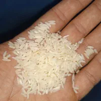 برنج هاشمی|خوردنی و آشامیدنی|رشت, شهرک قدس|دیوار