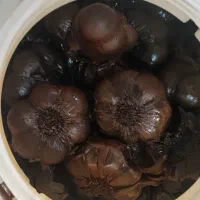 سیر ترشی اعلا ۷ سال واقعی