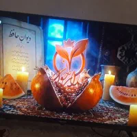 تلویزیون|تلویزیون و پروژکتور|مسجد سلیمان, |دیوار