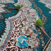 یک جفت گرینچیک وعروس هلندی نر