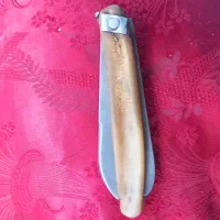 فروش یک عدد چاقو اره  دسته شاخ کرگدن بسیار کمیاب