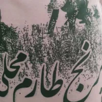 برنج ایرانی/برنج طارم محلی/برنج طارم فجر/هاشمی