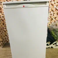 یخچال مینی