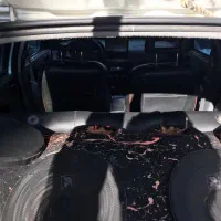 تیبا 2|خودرو سواری و وانت|زاهدان, |دیوار