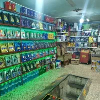 تعویض روغن گیربکس اتومات (اتوسرویس گنج نیا)