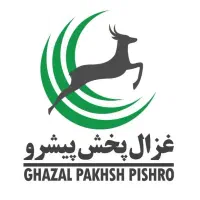ویزیتور مویرگی ورامین