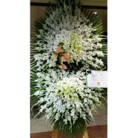 گلفروشی اهواز