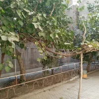 واحد-آپارتمان-پارکینگ-دار