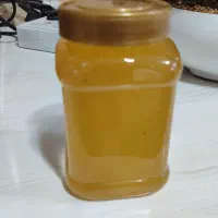 عسل گون گز کوهرنگ|خوردنی و آشامیدنی|کیار, |دیوار