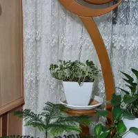 فروش ساعت ایستاده