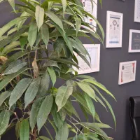 منشی /تایم صبح /کلینیک زیبایی پزشک خانم