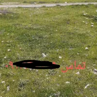زمین دونبش سندار نیروی انتظامی|فروش زمین و ملک کلنگی|مشگین شهر, |دیوار
