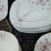 ظروف پذیرایی|ظروف سرو و پذیرایی|اهواز, گلستان|دیوار