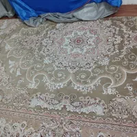 قالی گردویی ۱۲متری