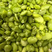 محصولات خانگی